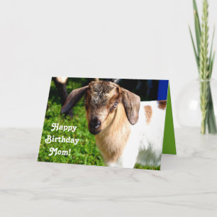 Carte Joyeux anniversaire maman de Favorite Kid (avec ch