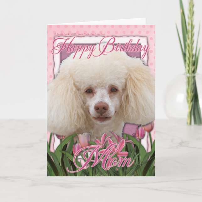 Carte Joyeux Anniversaire maman - Poodle (Devant)