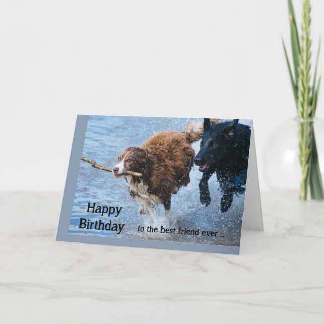 Carte Joyeux Anniversaire Meilleur Ami Amusant Vieux & F (Devant)
