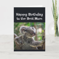 Joyeux Anniversaire Meilleure Mère Ourson Koala Mi