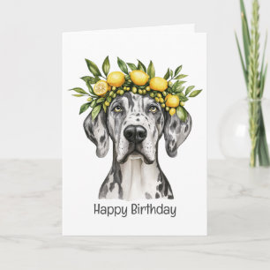 Carte Joyeux anniversaire Merle Great Dane Chien Lemon C