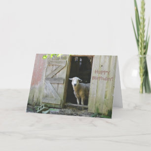 Carte Joyeux Anniversaire Moutons adorables