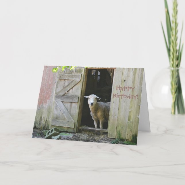 Carte Joyeux Anniversaire Moutons adorables (Devant)