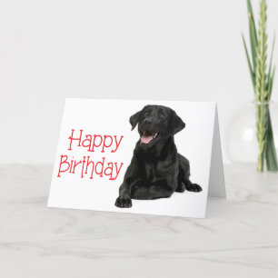 Carte Joyeux Anniversaire Noir Labrador Chien de Chien d