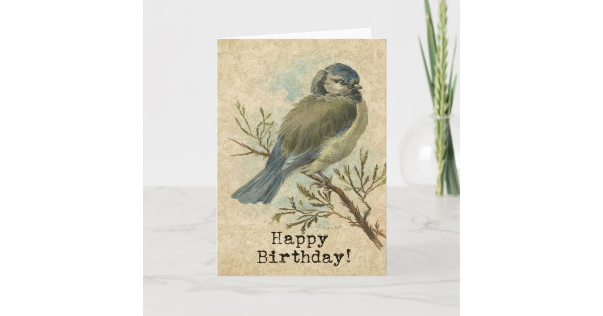 Carte Joyeux Anniversaire Oiseau Vintage De Mesange Zazzle Ca