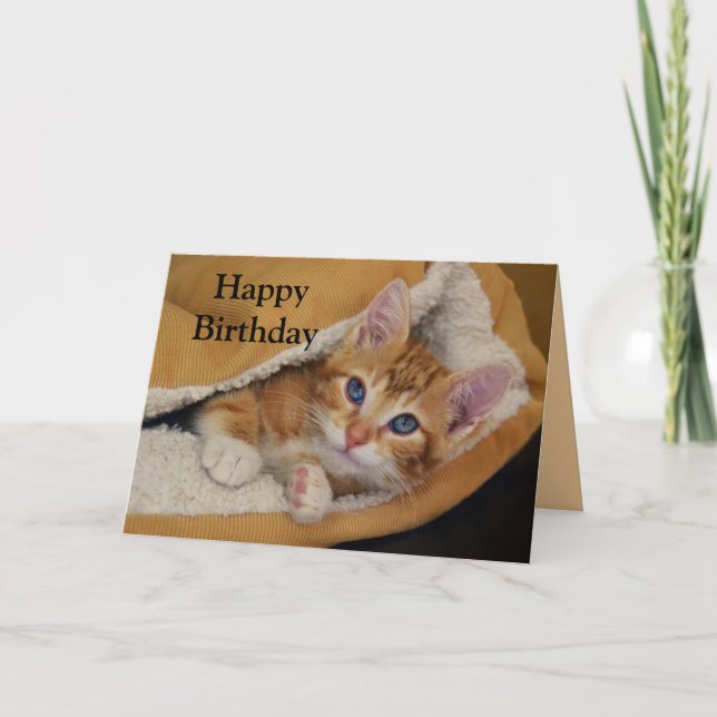 Carte Joyeux Anniversaire, Orange Tabby Kitten en Lit (Devant)