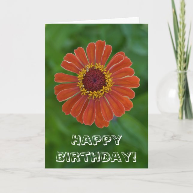 Carte Joyeux anniversaire Orange Zinnia fleur floraison (Devant)