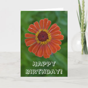 Carte Joyeux anniversaire Orange Zinnia fleur floraison