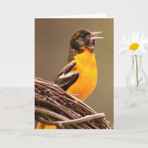Carte Joyeux anniversaire Oriole