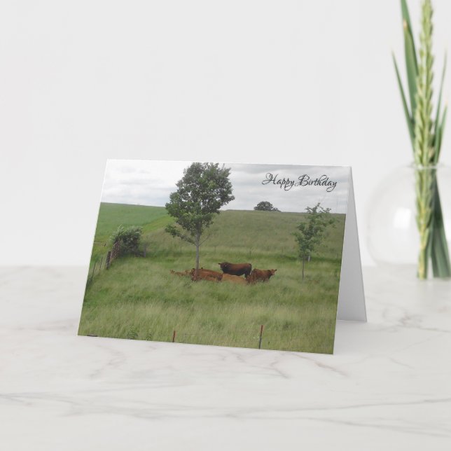 Carte Joyeux Anniversaire paisible Vaches de jour dans l (Devant)
