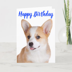 Carte Joyeux anniversaire Pembroke Welsh Corgi Chien chi