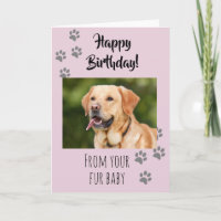 Joyeux Anniversaire Photo Chien Chat Animal de Com