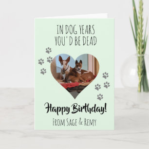 Carte Joyeux anniversaire Photo Chien Funny Chien Années