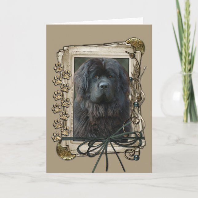 Carte Joyeux Anniversaire - Pierres - Terre-Neuve (Devant)