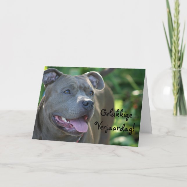 Carte Joyeux anniversaire Pitbull dog greeting card (Devant)