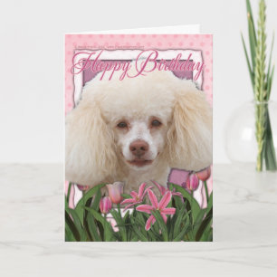 Carte Joyeux anniversaire - Poodle