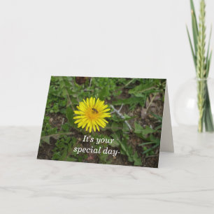 Carte Joyeux Anniversaire Pour Tous