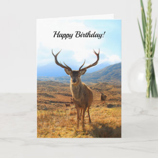 Carte Joyeux anniversaire pour une personne de cerfs