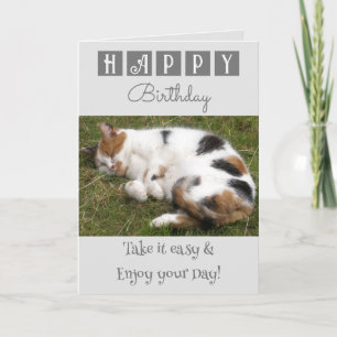 Carte Joyeux anniversaire prenez facile chat photo gris