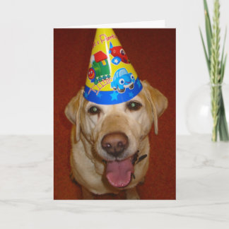 Carte Joyeux anniversaire Prima