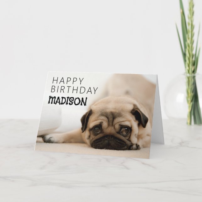 Carte Joyeux anniversaire | Pug (Devant)