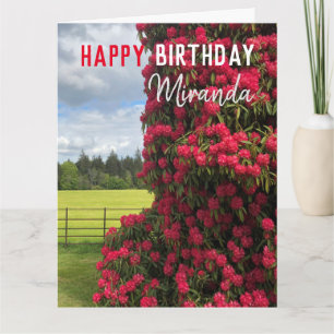 Carte Joyeux anniversaire - Rhododendron Pittoresque Vie