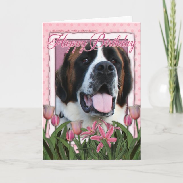 Carte Joyeux anniversaire - Saint Bernard - Mae (Devant)