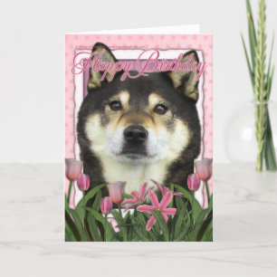 Carte Joyeux anniversaire - Shiba Inus - Yasha