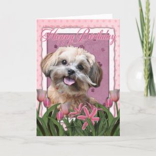 Carte Joyeux anniversaire - ShihPoo - Maggie