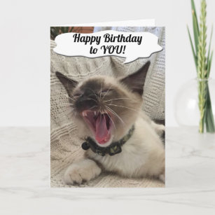 Cartes Humoristique Chat D Anniversaire Zazzle Ca