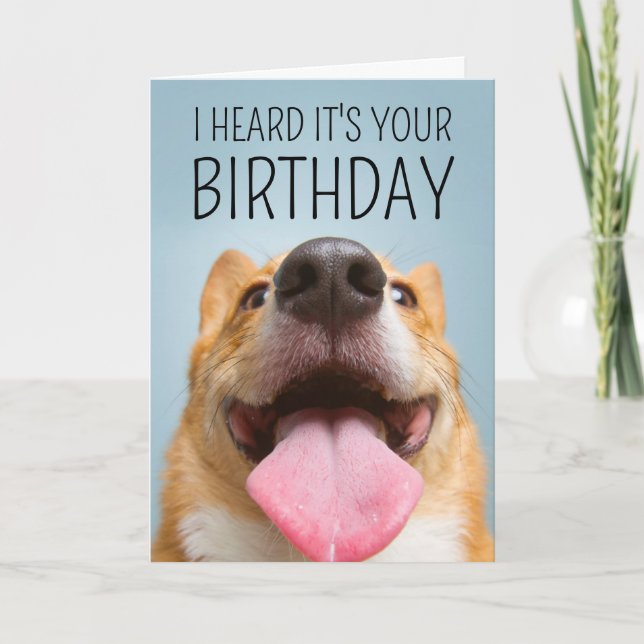 Carte Joyeux Anniversaire | Sourire Corgi (Devant)