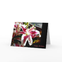 Joyeux anniversaire ~ Stargazer Lily