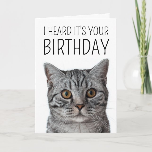 Carte Joyeux Anniversaire | Tête de Chat British Shortha (Devant)