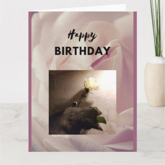 Carte Joyeux anniversaire. Tuxedo chat avec un rose. Car