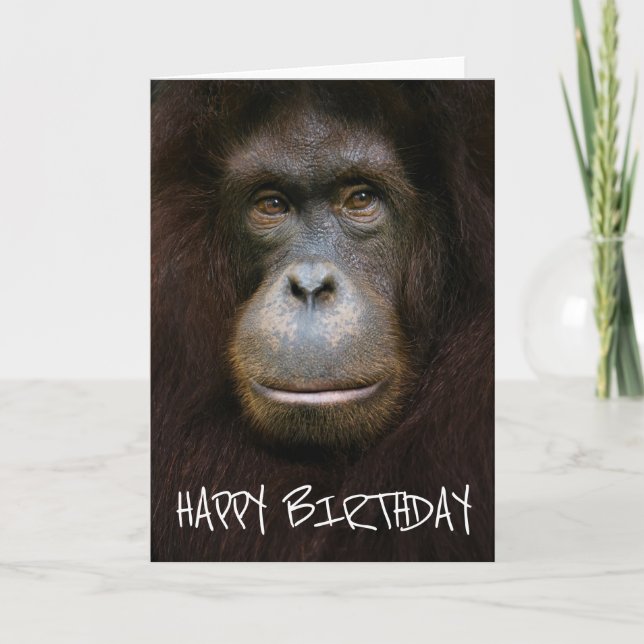 Carte Joyeux Anniversaire | Visage d'orang-outan (Devant)