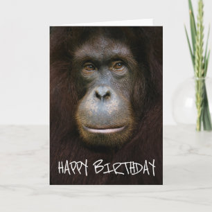 Carte Joyeux Anniversaire Visage d'Orang-outan