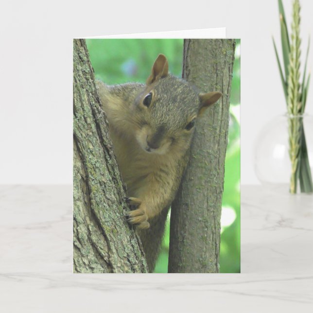 Carte Joyeux Anniversaire Vous Nut Funny Squirrel Card (Devant)
