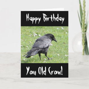 Carte Joyeux Anniversaire Vous Vieux Corbeau Insulte Car