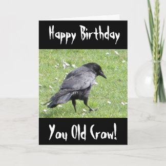 Carte Joyeux Anniversaire Vous Vieux Corbeau Insulte Car