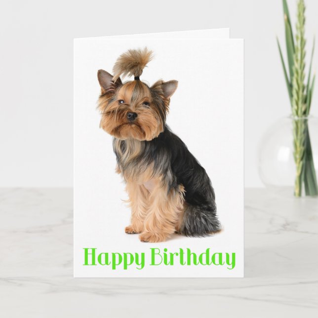 Carte Joyeux anniversaire Yorkshire Terrier Chien coquel (Devant)