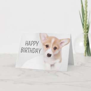 Carte Joyeux anniversaire   Young Corgi Puppy