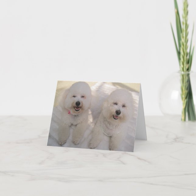 Carte Joyeux Bichons ! (Devant)