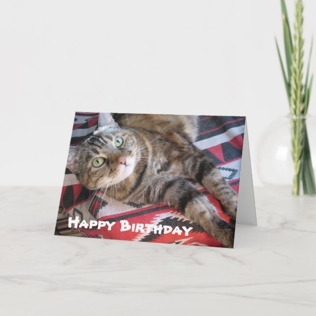 Carte Joyeux Chat d'anniversaire (Devant)