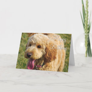 Carte Joyeux chien doré d'anniversaire