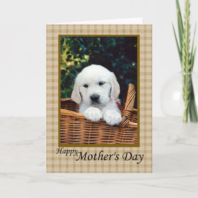 Carte Joyeux chiot de la fête des mères dans un panier (Devant)