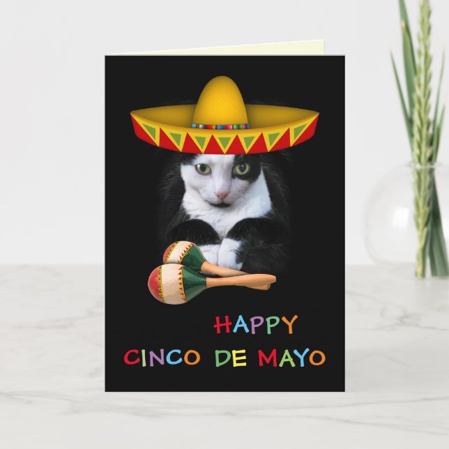 Carte Joyeux Cinco De Mayo Cat (Devant)