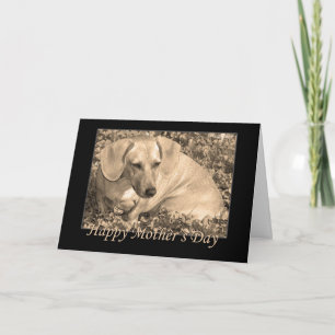 Carte Joyeux dachshund Sepia pour la Fête des Mères