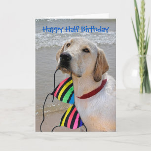 Carte Joyeux demi-anniversaire Labrador Retriever