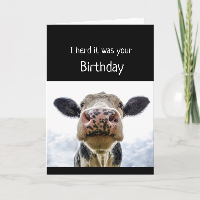 Carte Joyeux gâteau d'anniversaire Sniffer Vache Humour  (Devant)