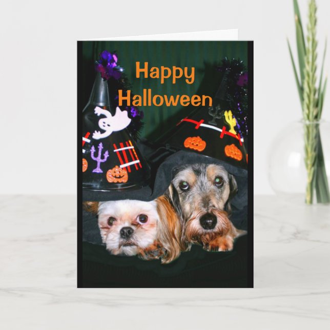 Carte Joyeux Halloween - N'ayez pas peur de l'écorce! (Devant)